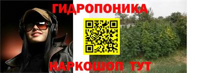 мдпв Кандалакша