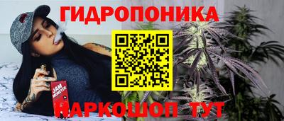 мдпв Кандалакша