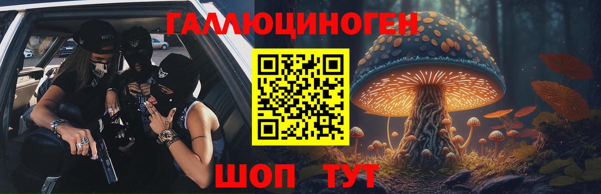 Краснознаменск  Псилоцибиновые грибы Psilocybine cubensis  Вход с VPN 